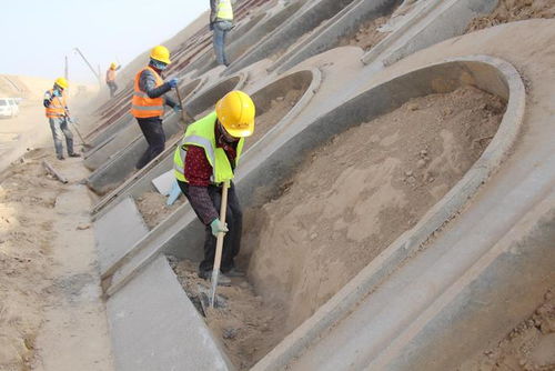 寧夏在建高速公路項目按下 增綠鍵